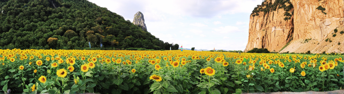 Header หน้าใน - เกี่ยวกับเรา