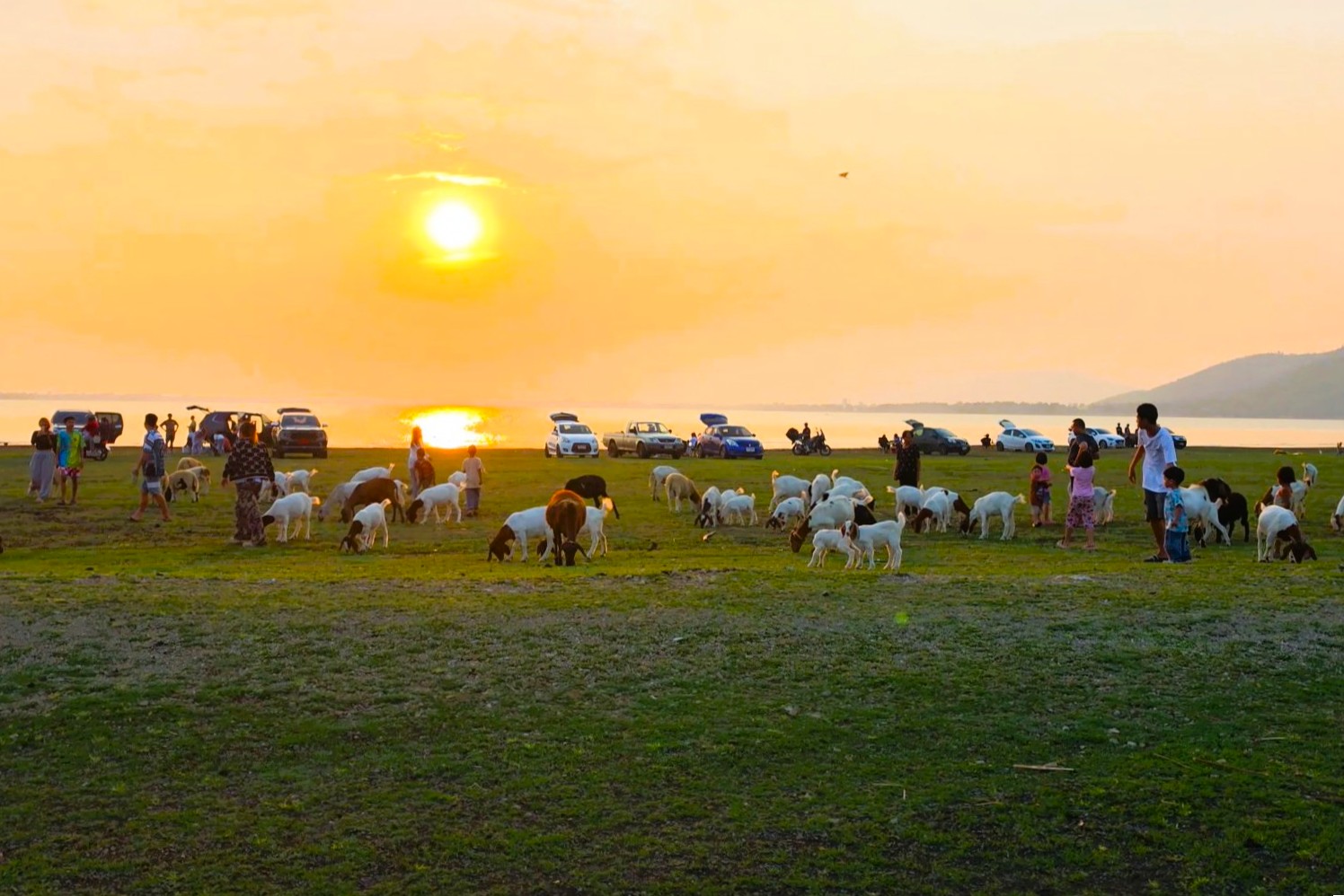 หน้าร้อนแบบนี้พาไปชม จุดเช็คอินสุด Unseen ท้ายเขื่อนป่าสักชลสิทธิ์ นิวซีแลนด์เมืองไทย กับ Moment แห่งความสุขท่ามกลางฝูงน้องแพะ เสน่ห์ที่ทำให้ใครต่อใครต้องหลงรัก กับบรรยากาศสุดชิว ยามพระอาทิตย์ลับขอบฟ้า ตำบลหนองบัว อำเภอพัฒนานิคม จังหวัดลพบุรี