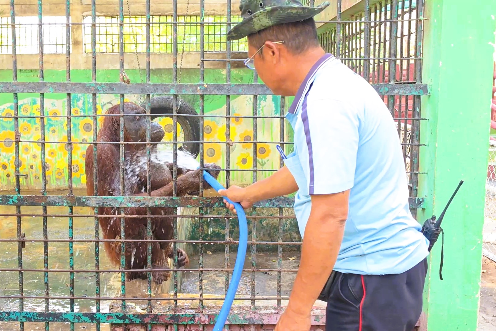 ลพบุรีอากาศร้อนจัด อุณหภูมิทะลุ 40 องศา อย่างต่อเนื่อง ทั้งสวนสัตว์ลพบุรี และสวนลิงลพบุรี ต้องเพิ่มรอบให้น้ำคลายร้อนให้กับลิง ขณะที่คนทำงานกลางวัน อย่างผู้ผลิตดินสอพองกลางแดดต้องเปลี่ยนข่วงเวลามาทำตอนกลางคืนแทน