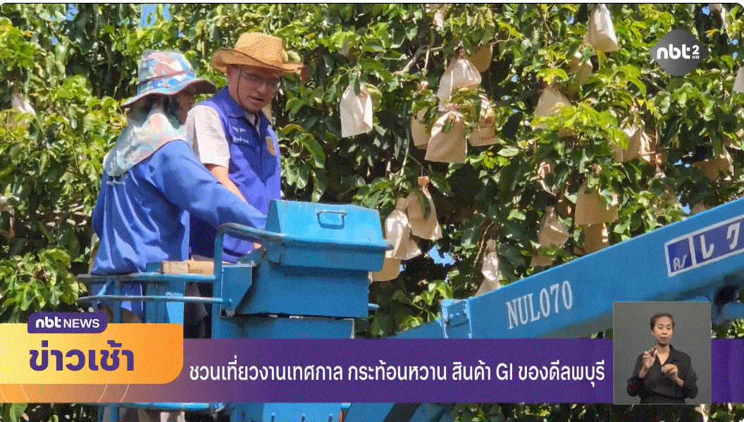  ชวนเที่ยวงานเทศกาล กระท้อนหวาน สินค้า GI ของดีลพบุรี
