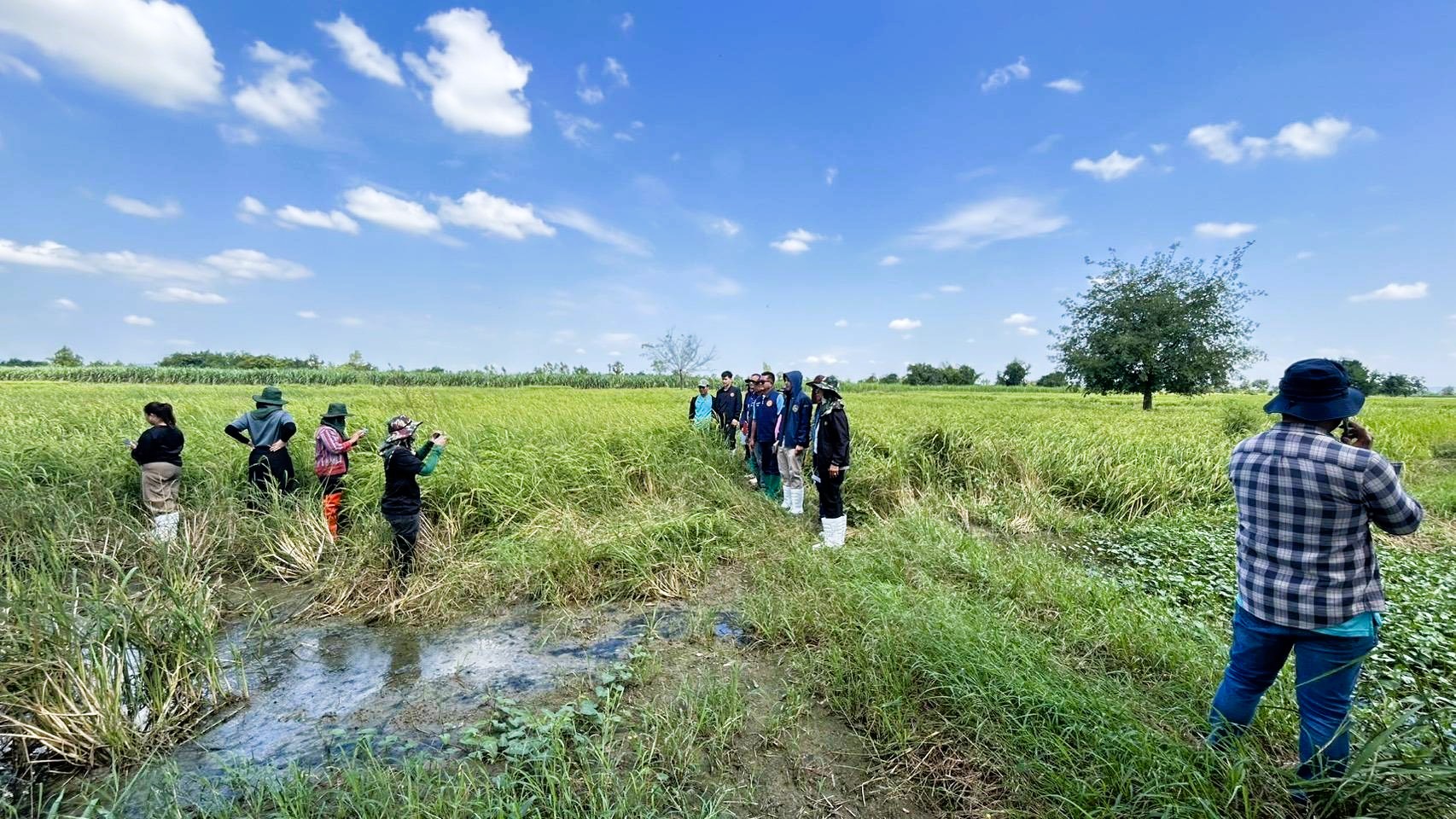 อำเภอชัยบาดาล จังหวัดลพบุรี บูรณาการหน่วยงานลงพื้นที่ตรวจสอบความเสียหายเกษตรกรรมจากฟาร์มสุกร ได้ข้อยุติเยียวยาเกษตรกร 5 ราย รวมเป็นเงินกว่า 1.1 แสนบาท&nbsp;